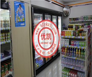 甘肅省嘉峪關(guān)市天誠廣場風幕柜案例