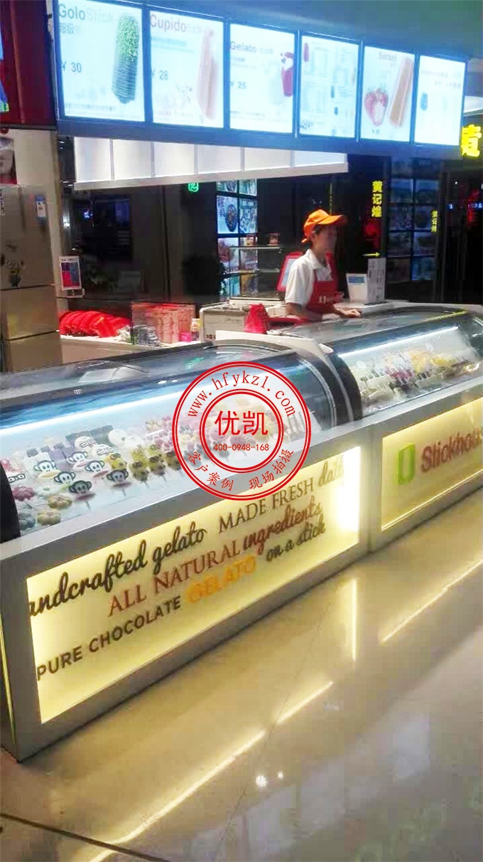 17BQ-B1經(jīng)濟(jì)節(jié)能型淇淋展示柜