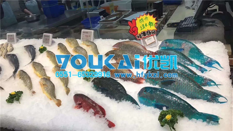 片冰機(jī)碎冰機(jī)展示圖6