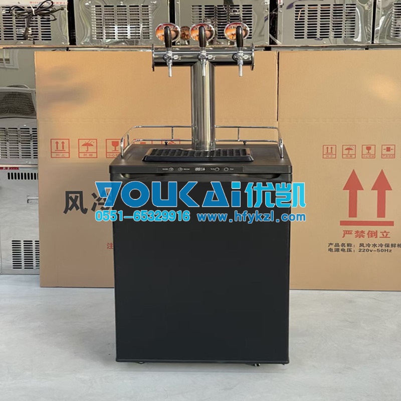 商用風(fēng)冷扎啤啤酒機