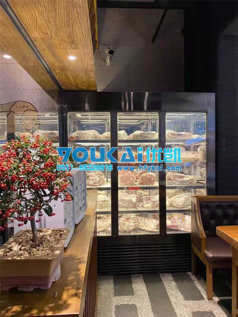 進(jìn)口牛肉保鮮柜