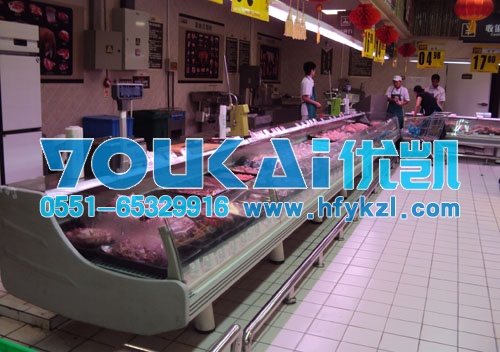 拉薩鮮肉柜案例無縫拼接外機(jī)款