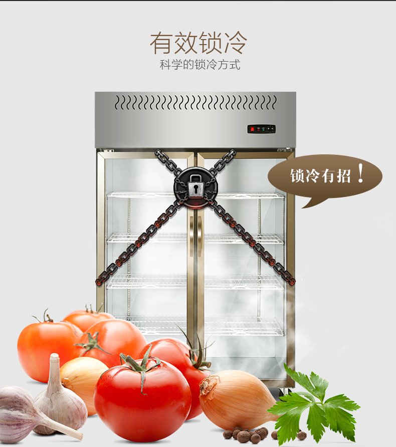 星星制冷冷藏雙門(mén)冰箱