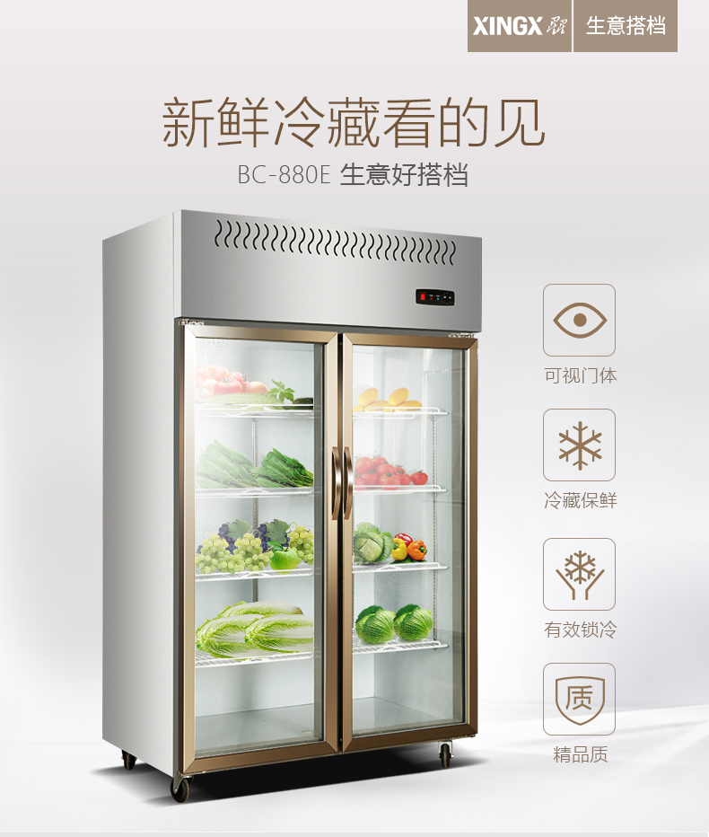 星星制冷冷藏雙門(mén)冰箱