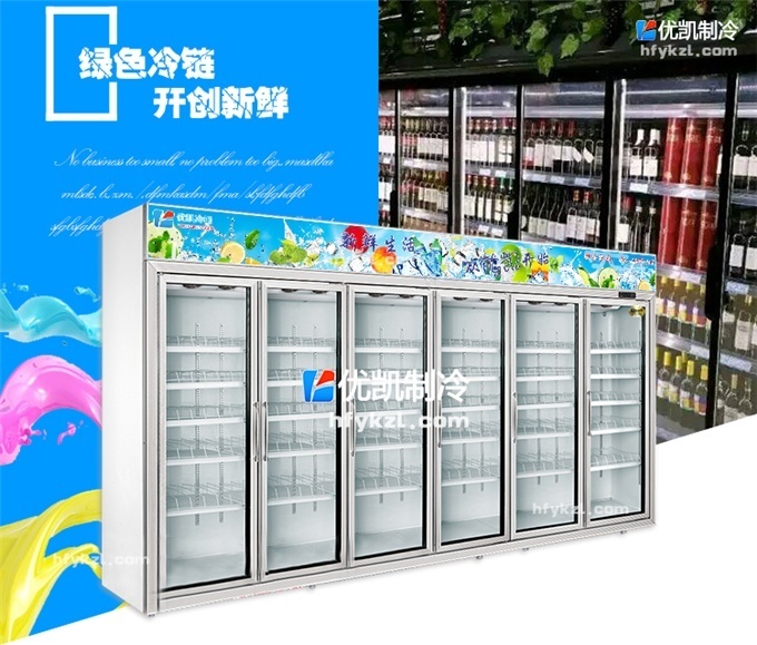 六門(mén)便利店冷柜