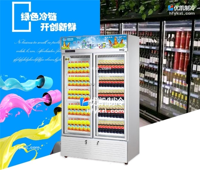 BL-LAF風冷雙開陳列柜（暢銷產(chǎn)品）