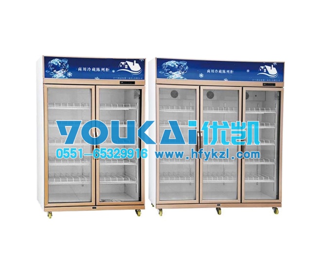 BXF風(fēng)直冷玻璃門展示柜
