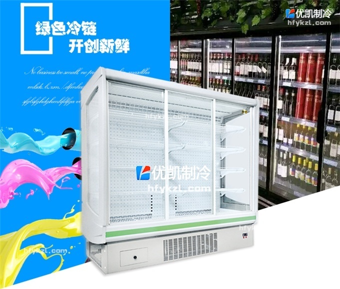 LF-F型帶門風(fēng)冷陳列柜