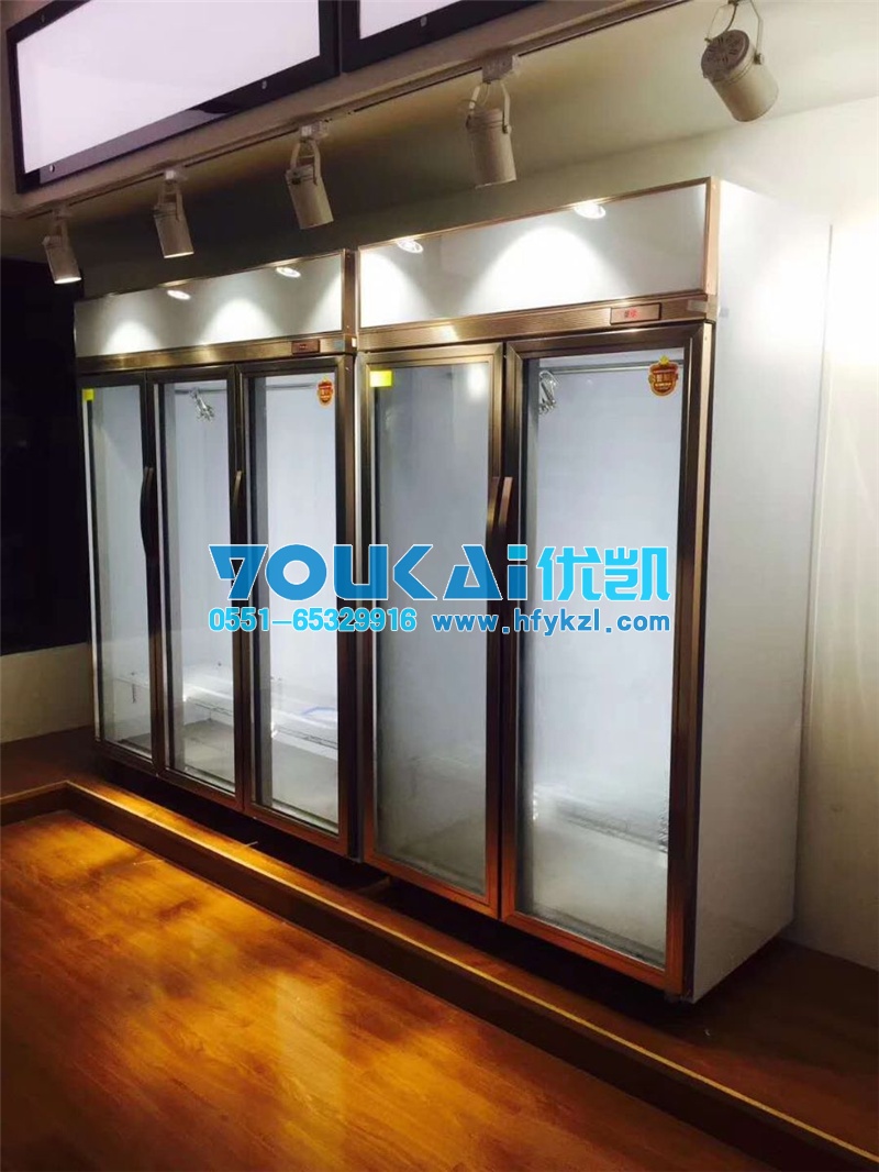 風(fēng)冷掛肉柜