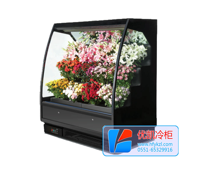 敞口鮮花風(fēng)幕柜