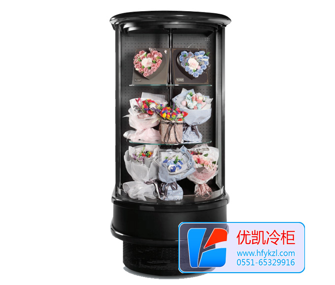 立式鮮花風(fēng)幕柜